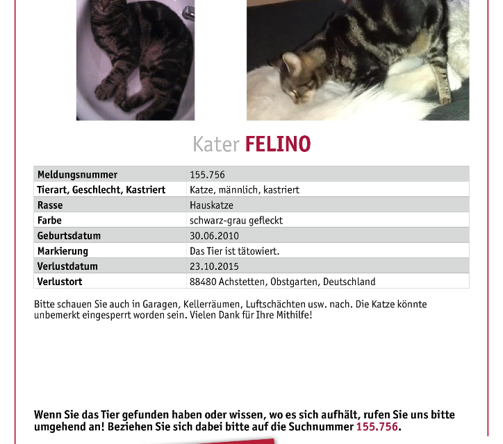 Felino 2015 vermisst