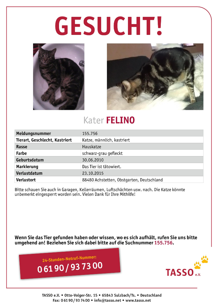 Felino 2015 vermisst