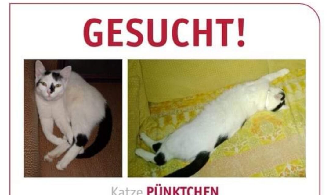 Pünktchen 2019 vermisst