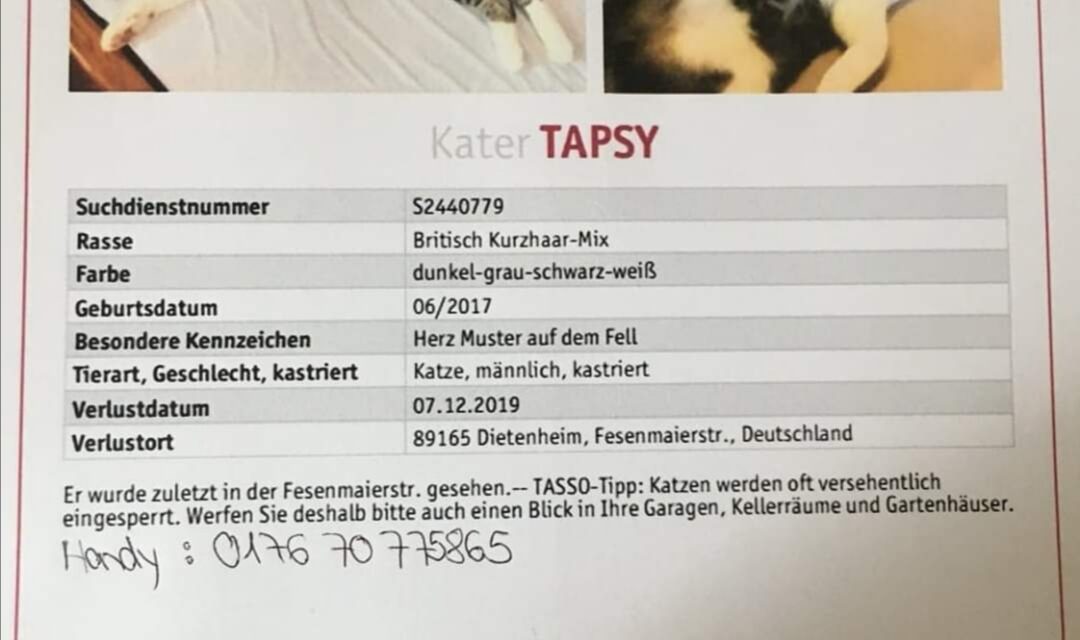 Tapsy 2019 vermisst