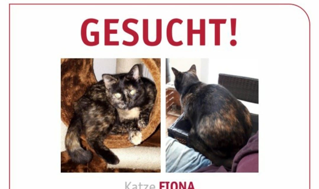 Fiona 2019 vermisst