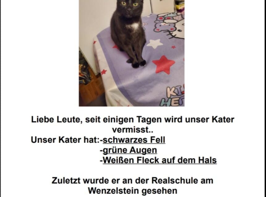 Kater 2021 vermisst