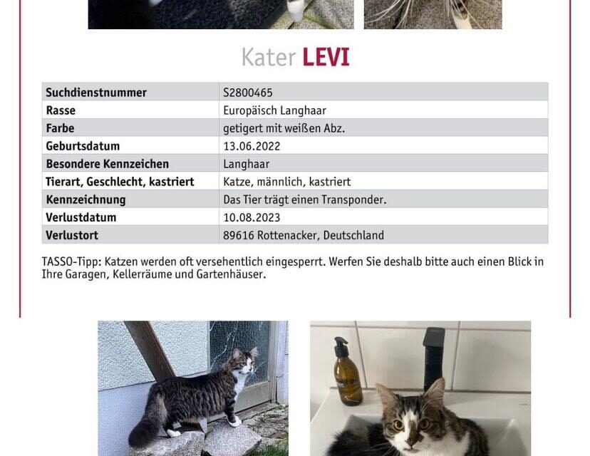 Levi 2023 vermisst