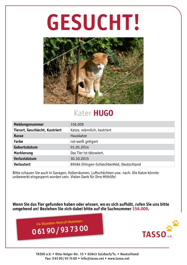 Hugo 2015 vermisst