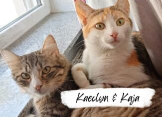 Kaecyln und Kaja