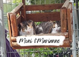 Moni & Marianne