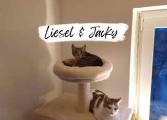 Liesel & Jacky
