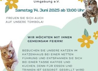 8. Katzenhausfest