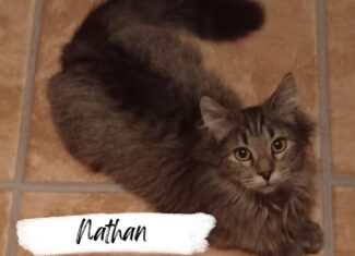 Nathan