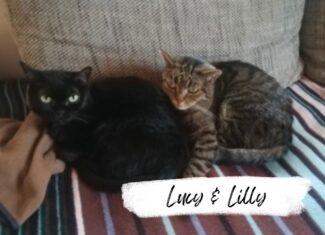 Lucy & Lilly