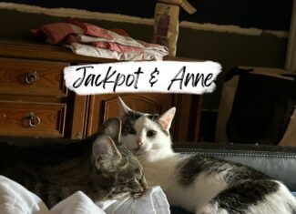 Anne & Jackpot