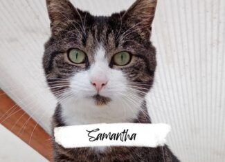 Samantha