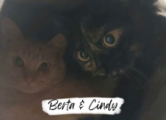 Cindy & Berta