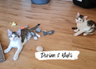 Dorian & Yuki