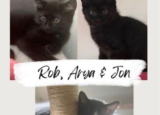Rob, Arya & Jon