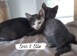 Eros & Ella