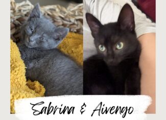 Sabrina & Aivengo