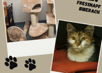 Danke an den Fressnapf Biberach