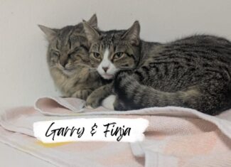 Garry & Finja