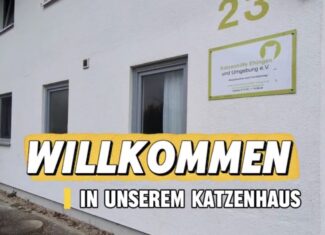 Willkommen in unserem Katzenhaus