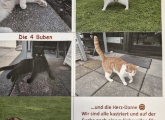 Privatvermittlung