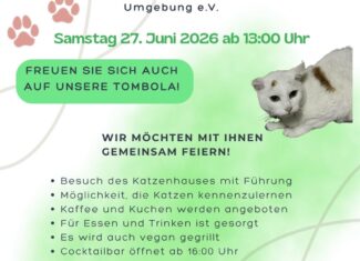 9. Katzenhausfest
