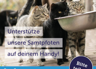 feed a cat – Die Futterspenden-App