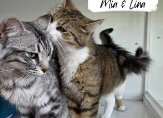 Mia & Lina