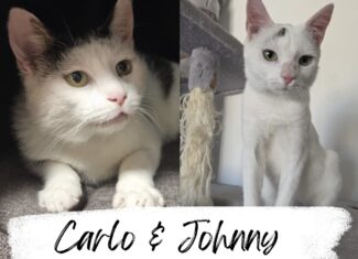 Carlo & Johnny