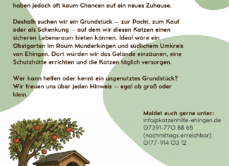 Grundstück gesucht