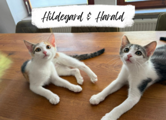Hildegard & Harald