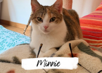 Minnie