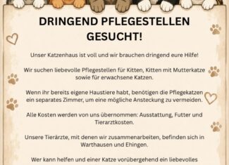 Dringend Pflegestellen gesucht