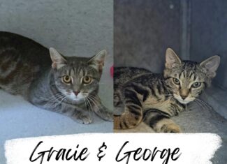 Gracie & George