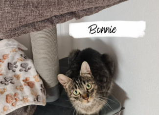 Bonnie